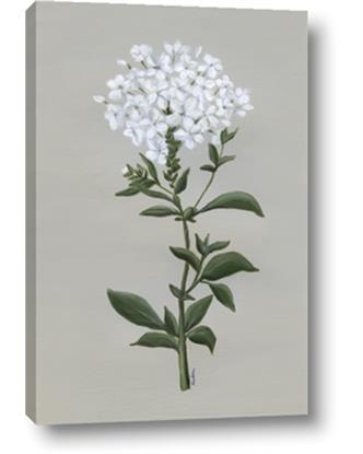 Picture of White flower I