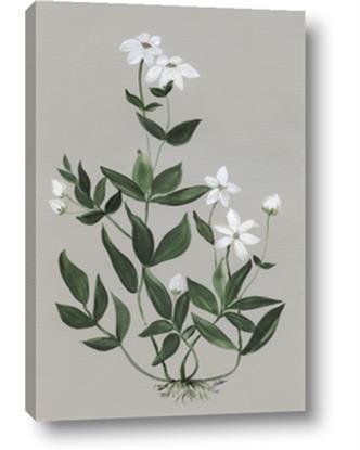 Picture of White flower III