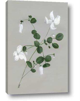 Picture of White flower IV