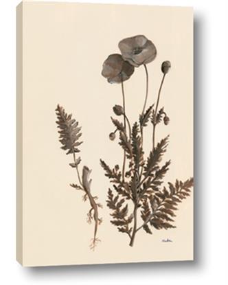 Picture of Vintage Botanical I