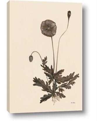 Picture of Vintage Botanical II