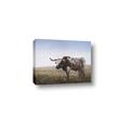 Picture of Roaming Around _GroupedProduct_Rectangle_Landscape_Canvas_