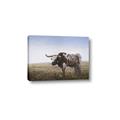 Picture of Roaming Around _GroupedProduct_Rectangle_Landscape_Canvas_