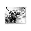 Picture of Longhorn Larry _GroupedProduct_Rectangle_Landscape_Canvas_