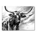 Picture of Longhorn Larry _GroupedProduct_Rectangle_Landscape_Canvas_