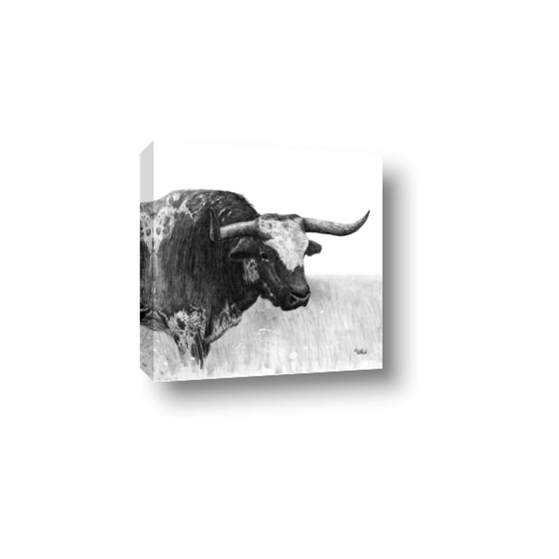 Picture of Sketched Horned Cow _GroupedProduct_Square_Canvas_