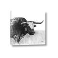 Picture of Sketched Horned Cow _GroupedProduct_Square_Canvas_