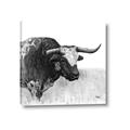 Picture of Sketched Horned Cow _GroupedProduct_Square_Canvas_