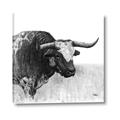 Picture of Sketched Horned Cow _GroupedProduct_Square_Canvas_