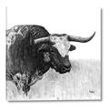 Picture of Sketched Horned Cow _GroupedProduct_Square_Canvas_