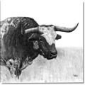 Picture of Sketched Horned Cow _GroupedProduct_Square_Canvas_