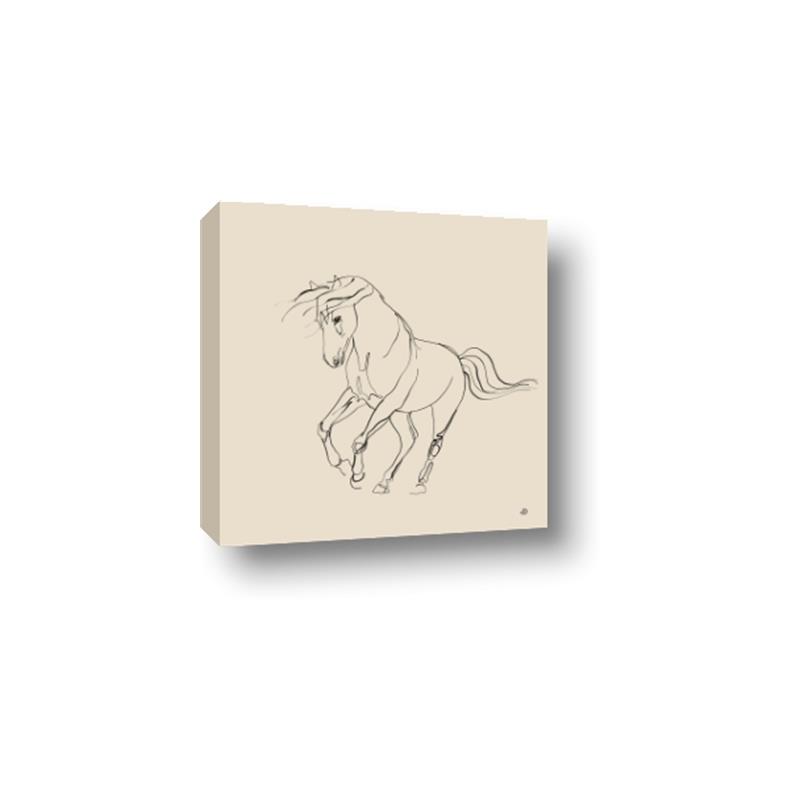 Picture of Sketched Horse I  _GroupedProduct_Square_Canvas_