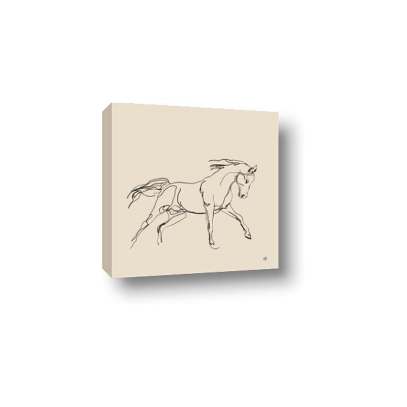Picture of Sketched Horse II  _GroupedProduct_Square_Canvas_