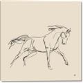 Picture of Sketched Horse II  _GroupedProduct_Square_Canvas_