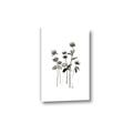 Picture of Black Botanical I  _GroupedProduct_Rectangle_Portrait_Canvas_