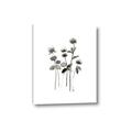 Picture of Black Botanical I  _GroupedProduct_Rectangle_Portrait_Canvas_