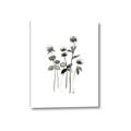 Picture of Black Botanical I  _GroupedProduct_Rectangle_Portrait_Canvas_