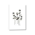 Picture of Black Botanical I  _GroupedProduct_Rectangle_Portrait_Canvas_
