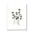 Picture of Black Botanical I  _GroupedProduct_Rectangle_Portrait_Canvas_