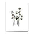 Picture of Black Botanical I  _GroupedProduct_Rectangle_Portrait_Canvas_