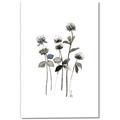 Picture of Black Botanical I  _GroupedProduct_Rectangle_Portrait_Canvas_