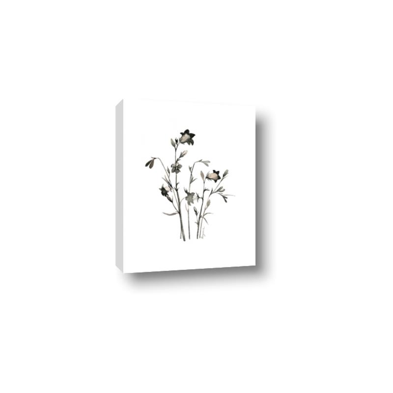 Picture of Black Botanical II  _GroupedProduct_Rectangle_Portrait_Canvas_