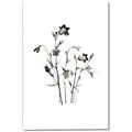 Picture of Black Botanical II  _GroupedProduct_Rectangle_Portrait_Canvas_