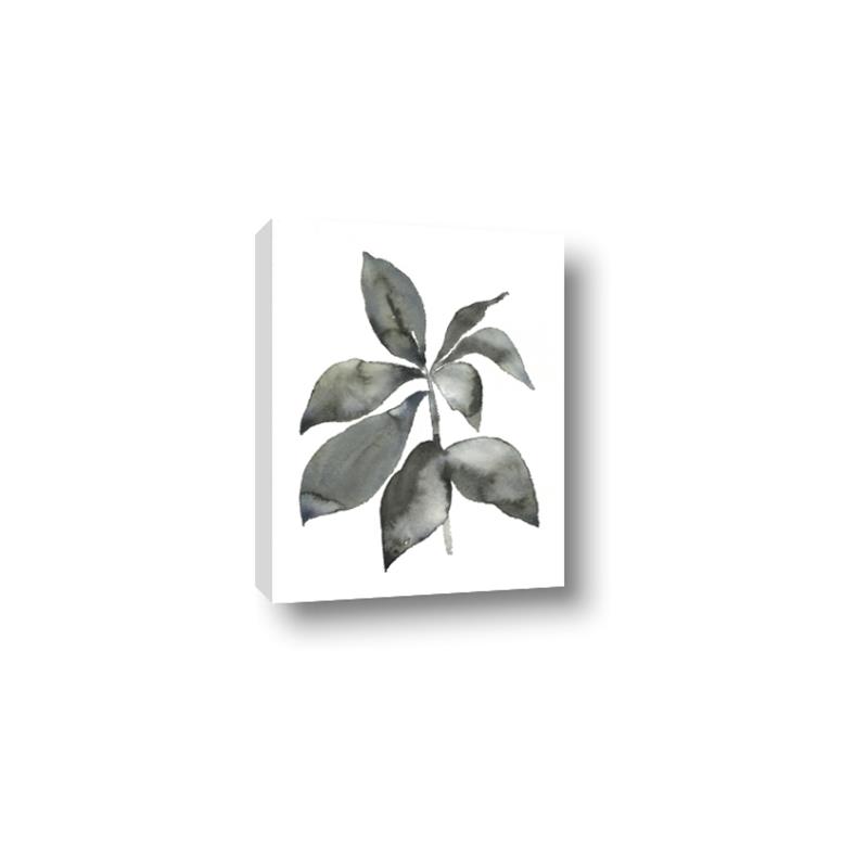 Picture of Black Watercolour Botanical I _GroupedProduct_Rectangle_Portrait_Canvas_