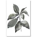 Picture of Black Watercolour Botanical I _GroupedProduct_Rectangle_Portrait_Canvas_