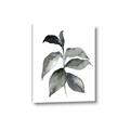 Picture of Black Watercolour Botanical II  _GroupedProduct_Rectangle_Portrait_Canvas_