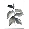 Picture of Black Watercolour Botanical II  _GroupedProduct_Rectangle_Portrait_Canvas_