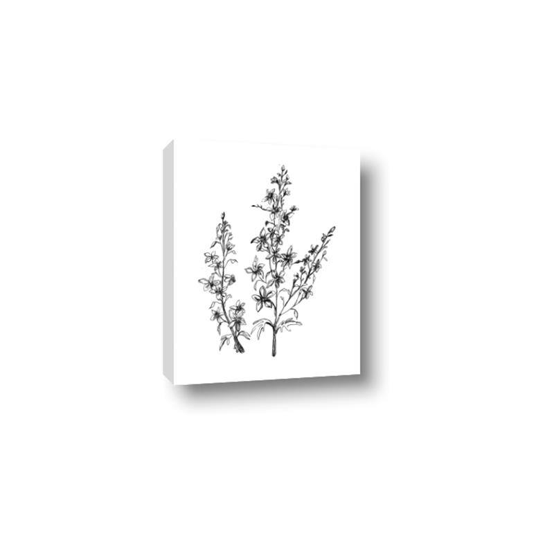 Picture of Whimsy Botanical I  _GroupedProduct_Rectangle_Portrait_Canvas_