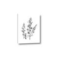 Picture of Whimsy Botanical I  _GroupedProduct_Rectangle_Portrait_Canvas_