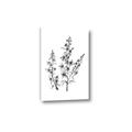 Picture of Whimsy Botanical I  _GroupedProduct_Rectangle_Portrait_Canvas_