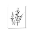 Picture of Whimsy Botanical I  _GroupedProduct_Rectangle_Portrait_Canvas_