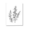 Picture of Whimsy Botanical I  _GroupedProduct_Rectangle_Portrait_Canvas_