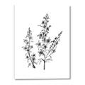Picture of Whimsy Botanical I  _GroupedProduct_Rectangle_Portrait_Canvas_