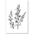 Picture of Whimsy Botanical I  _GroupedProduct_Rectangle_Portrait_Canvas_