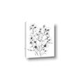 Picture of Whimsy Botanical II  _GroupedProduct_Rectangle_Portrait_Canvas_