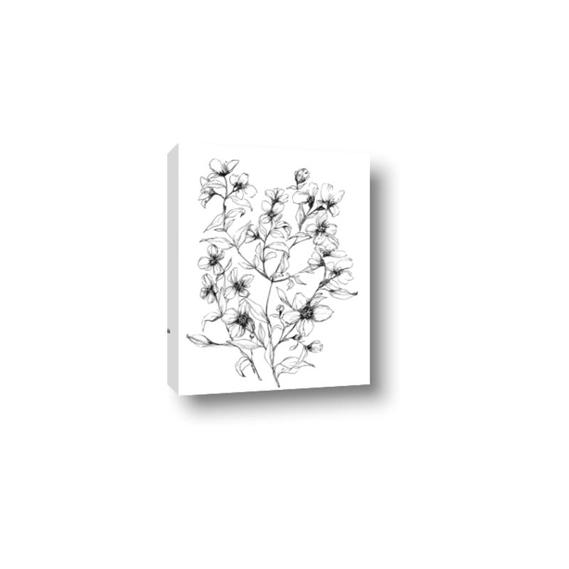 Picture of Whimsy Botanical II  _GroupedProduct_Rectangle_Portrait_Canvas_