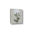 Picture of White flower I  _GroupedProduct_Rectangle_Portrait_Canvas_