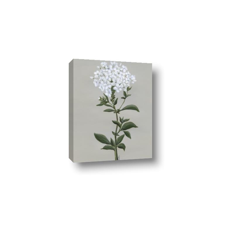 Picture of White flower I  _GroupedProduct_Rectangle_Portrait_Canvas_