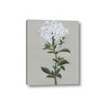 Picture of White flower I  _GroupedProduct_Rectangle_Portrait_Canvas_
