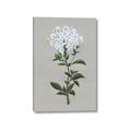 Picture of White flower I  _GroupedProduct_Rectangle_Portrait_Canvas_