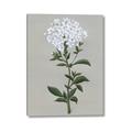 Picture of White flower I  _GroupedProduct_Rectangle_Portrait_Canvas_