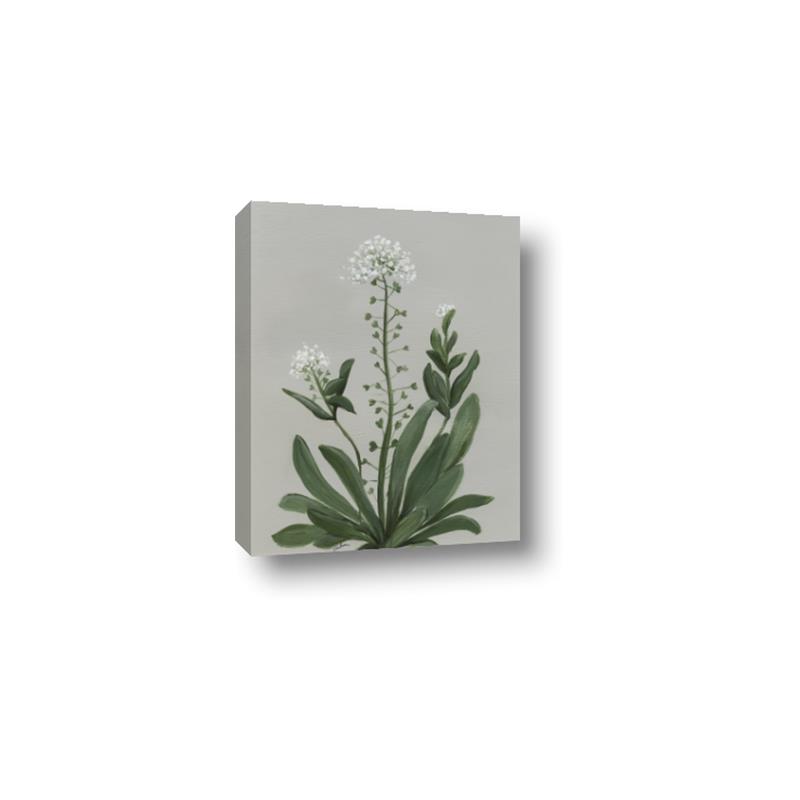 Picture of White flower II  _GroupedProduct_Rectangle_Portrait_Canvas_