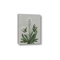 Picture of White flower II  _GroupedProduct_Rectangle_Portrait_Canvas_