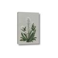 Picture of White flower II  _GroupedProduct_Rectangle_Portrait_Canvas_