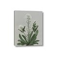 Picture of White flower II  _GroupedProduct_Rectangle_Portrait_Canvas_