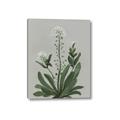 Picture of White flower II  _GroupedProduct_Rectangle_Portrait_Canvas_